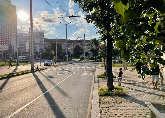 Katleya In Center * Sofia